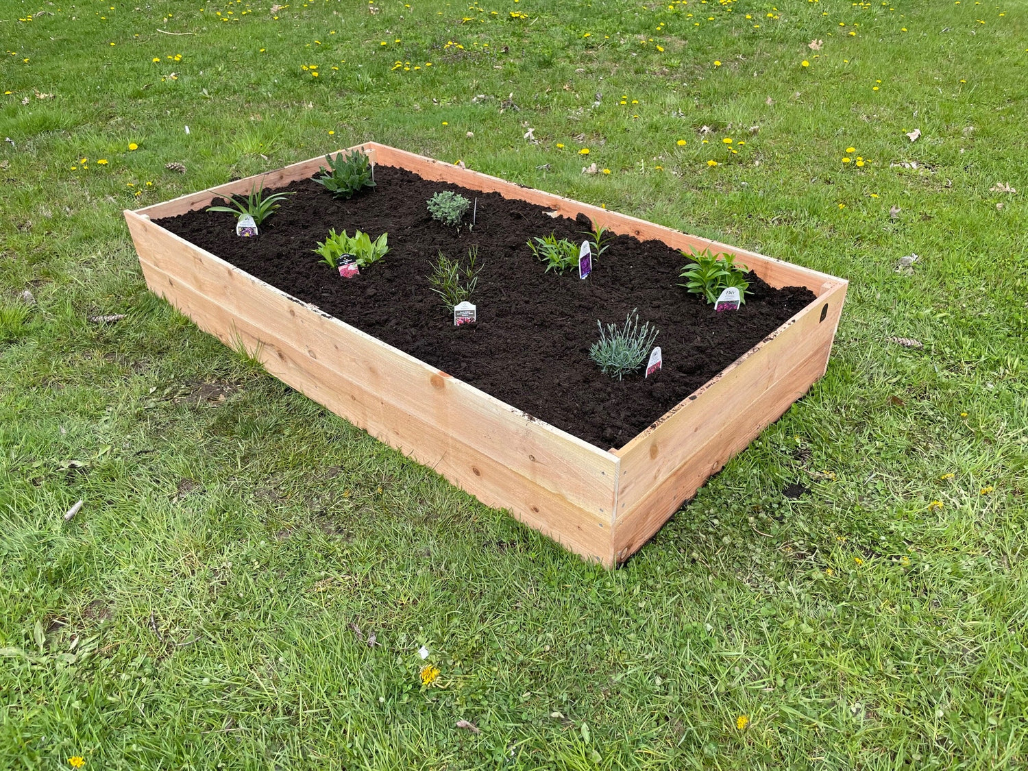 Green Thumb Gardeners: 5/8-inch to 3/4-inch cedar garden beds